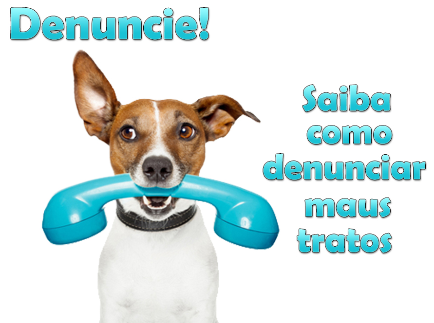 denuncie